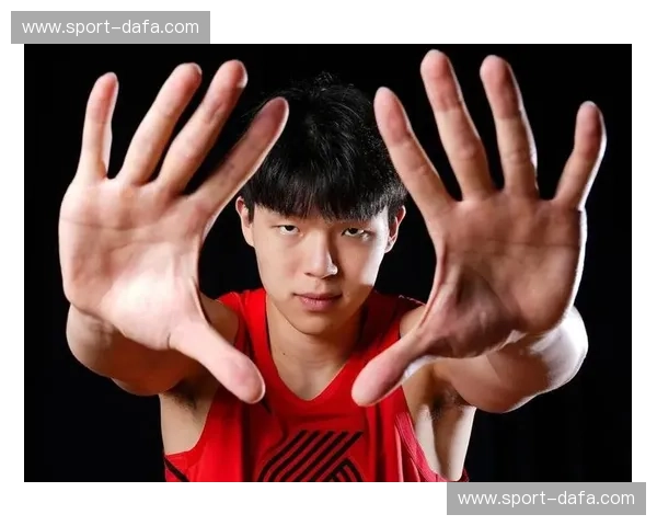 火箭与开拓者:2015年那场经典的对决,余韵仍在 火箭与开拓者:2015年那场经典的对决,余韵仍在